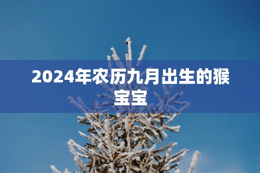 2025年农历九月出生的猴宝宝