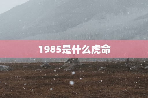 1985是什么虎命