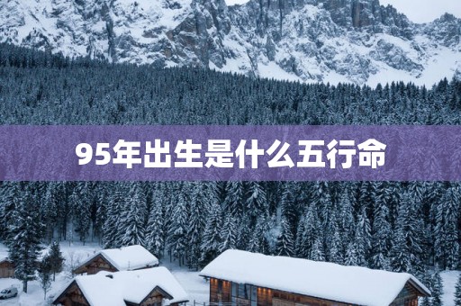 95年出生是什么五行命