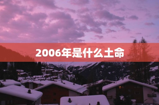 2006年是什么土命