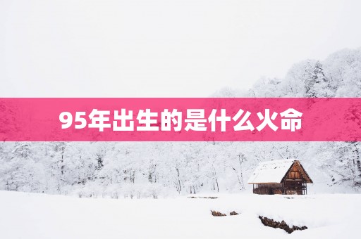 95年出生的是什么火命