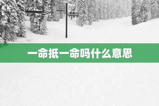 一命抵一命吗什么意思