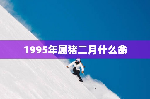 1995年属猪二月什么命