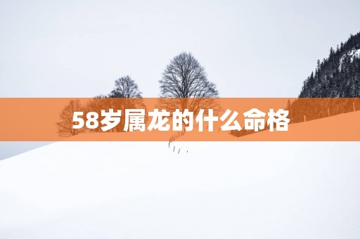58岁属龙的什么命格