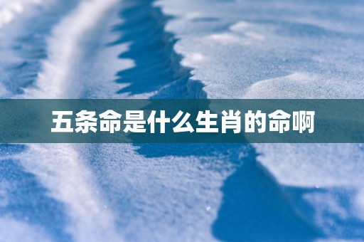 五条命是什么生肖的命啊