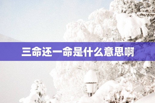 三命还一命是什么意思啊