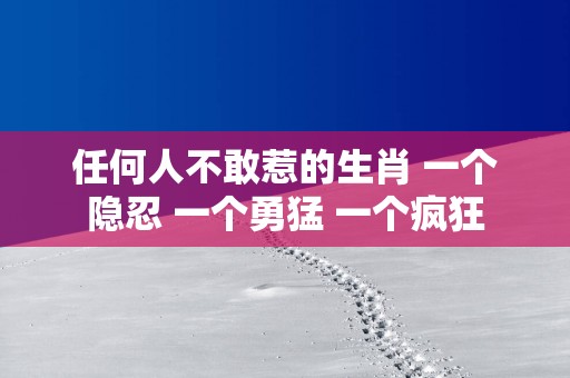 任何人不敢惹的生肖 一个隐忍 一个勇猛 一个疯狂