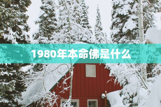 1980年本命佛是什么