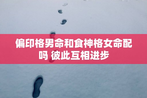 偏印格男命和食神格女命配吗 彼此互相进步