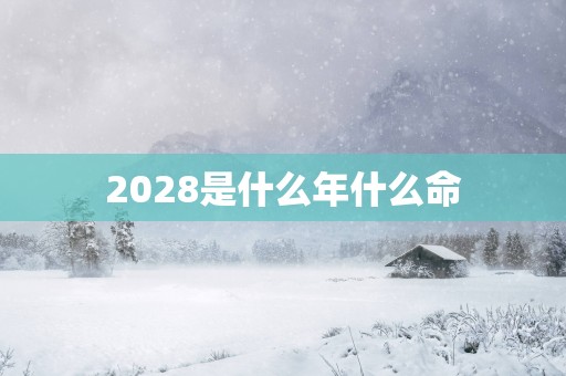 2028是什么年什么命