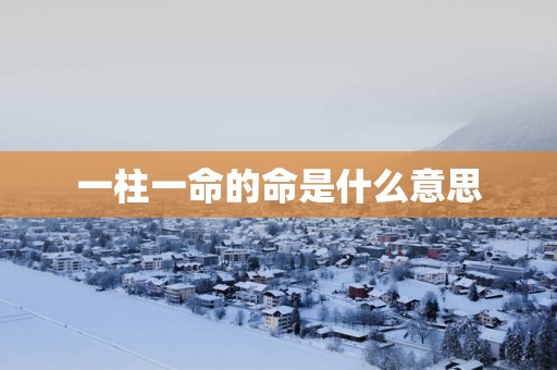 一柱一命的命是什么意思