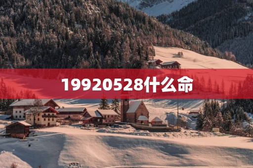 19920528什么命