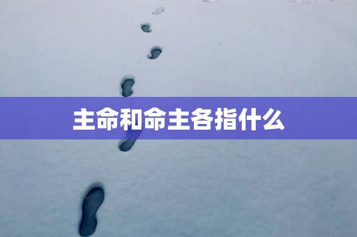 主命和命主各指什么
