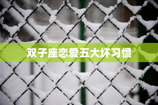 双子座恋爱五大坏习惯