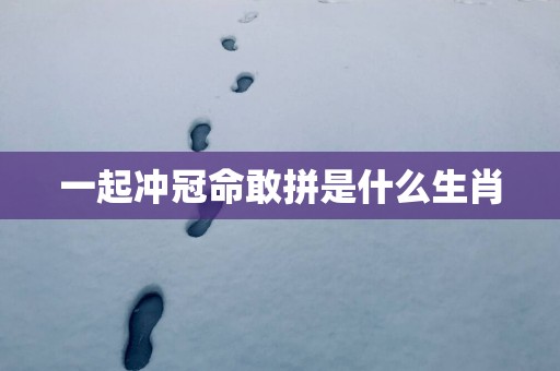 一起冲冠命敢拼是什么生肖