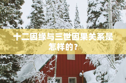 十二因缘与三世因果关系是怎样的？