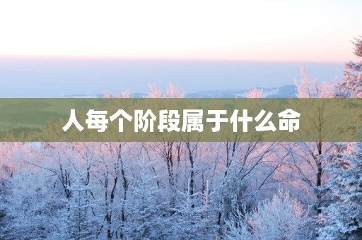 人每个阶段属于什么命