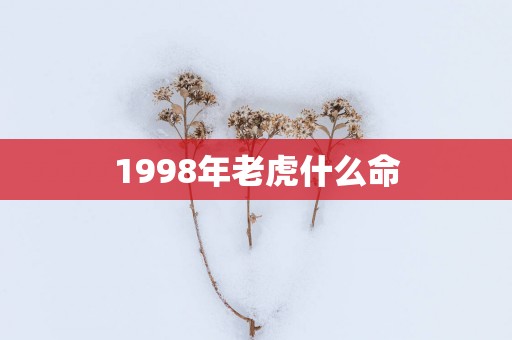 1998年老虎什么命