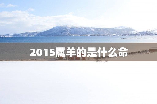 2015属羊的是什么命