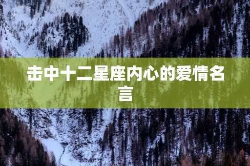 击中十二星座内心的爱情名言