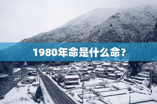 1980年命是什么命？