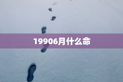 19906月什么命