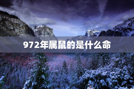 972年属鼠的是什么命
