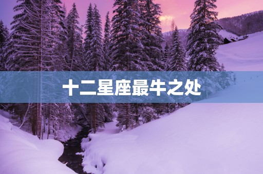 十二星座最牛之处