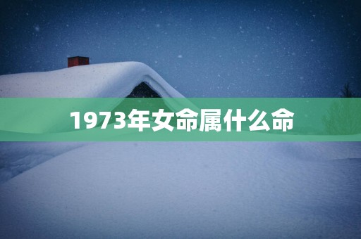 1973年女命属什么命