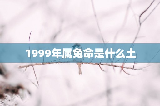 1999年属兔命是什么土