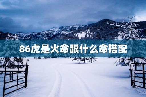 86虎是火命跟什么命搭配