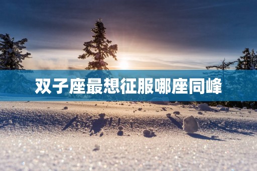双子座最想征服哪座同峰