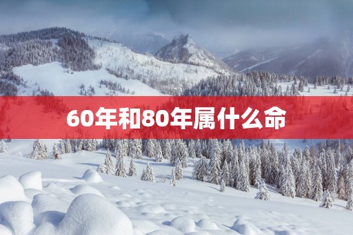 60年和80年属什么命