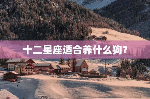 十二星座适合养什么狗？