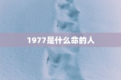 1977是什么命的人