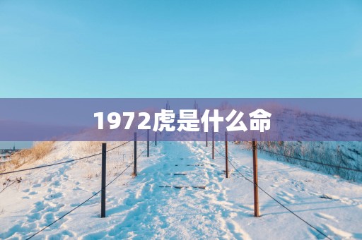 1972虎是什么命