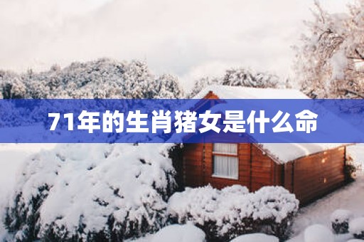 71年的生肖猪女是什么命