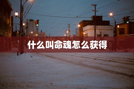 什么叫命魂怎么获得