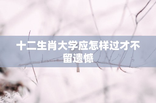 十二生肖大学应怎样过才不留遗憾