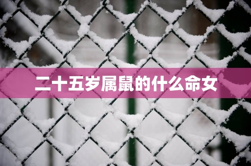 二十五岁属鼠的什么命女