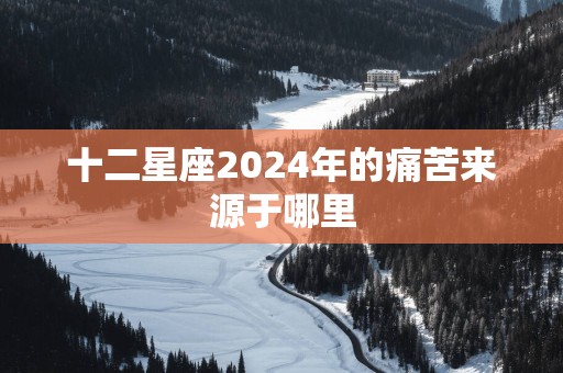 十二星座2025年的痛苦来源于哪里