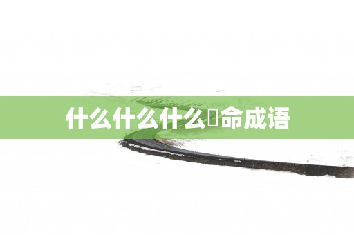 什么什么什么昰命成语