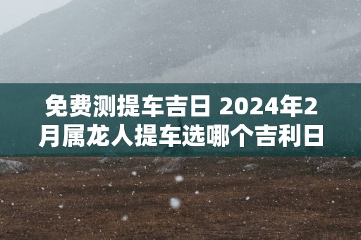 免费测提车吉日 2025年2月属龙人提车选哪个吉利日子