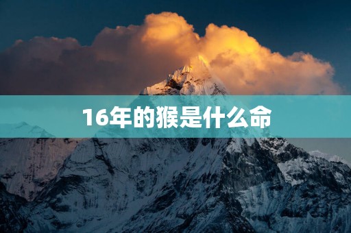 16年的猴是什么命