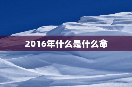 2016年什么是什么命