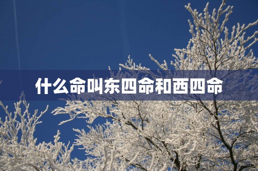 什么命叫东四命和西四命