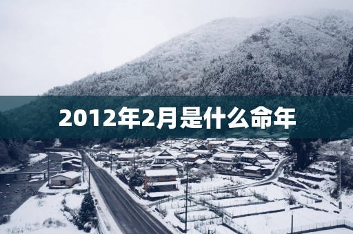 2012年2月是什么命年