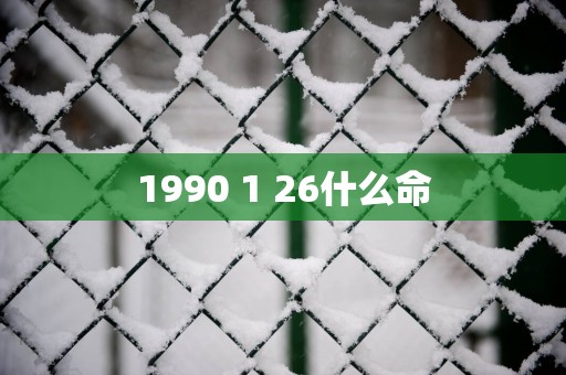 1990 1 26什么命