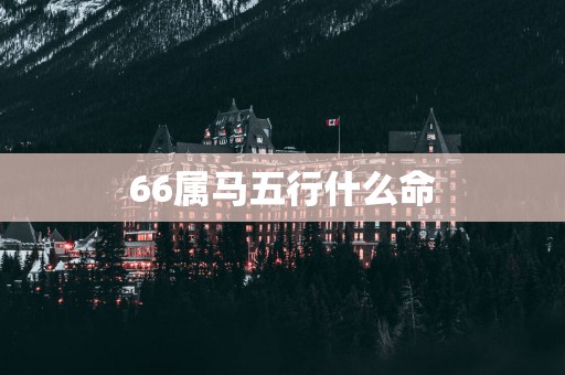 66属马五行什么命