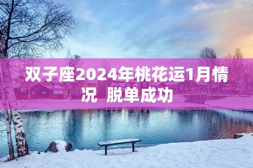 双子座2025年桃花运1月情况  脱单成功